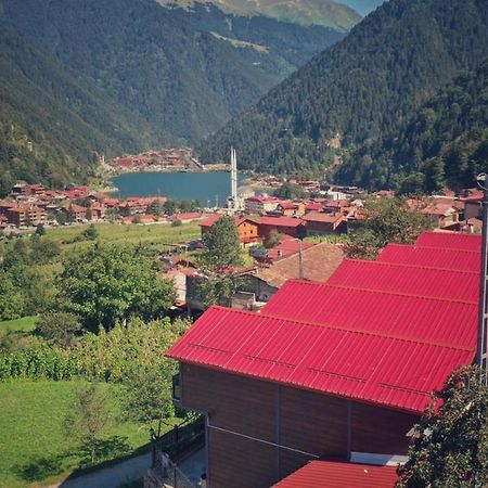 Horio Villa Uzungöl Buitenkant foto