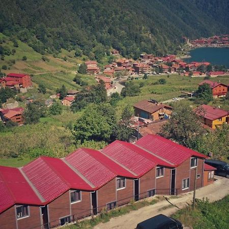 Horio Villa Uzungöl Buitenkant foto