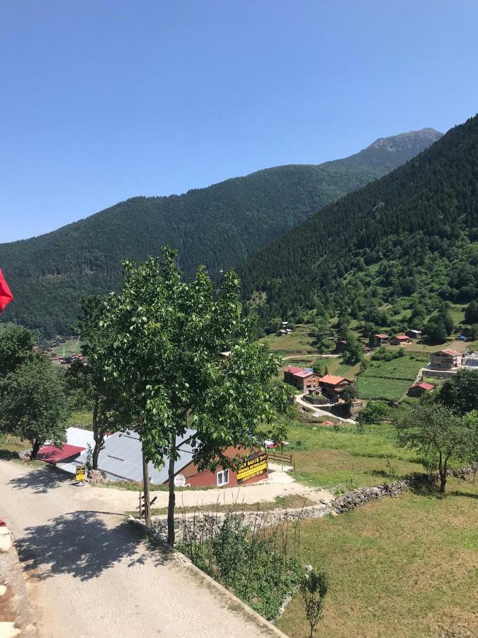 Horio Villa Uzungöl Buitenkant foto